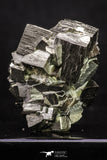 20325 - Beautiful 2.04 Inch Pyrite Crystals from famous Navajun Mines (Spain)