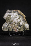 20334 - Beautiful 3.51 Inch Pyrite Crystals on Calcite from El Hammam Mine - Morocco