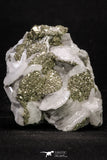 20335 - Beautiful 2.50 Inch Pyrite Crystals on Calcite from El Hammam Mine - Morocco