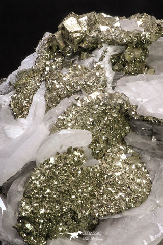 20335 - Beautiful 2.50 Inch Pyrite Crystals on Calcite from El Hammam Mine - Morocco