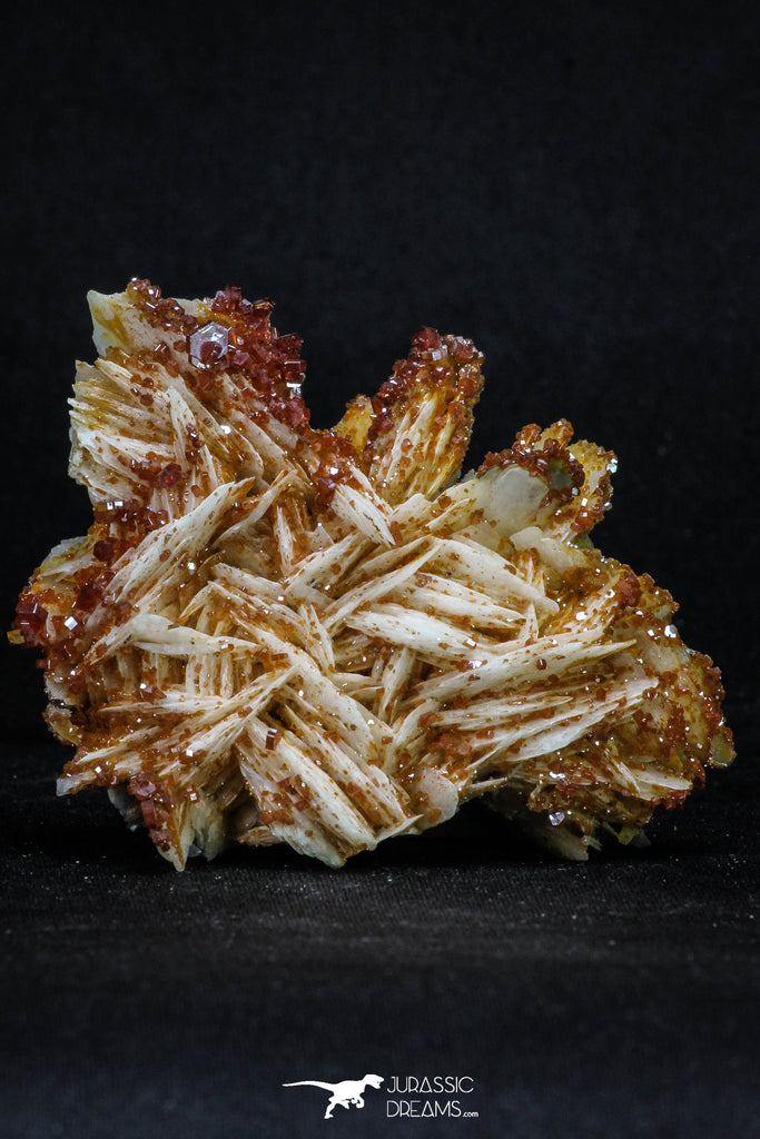 20337 - Beautiful Red Vanadinite Crystals on Barite Mibladen Mining District, Morocco