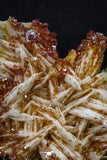 20337 - Beautiful Red Vanadinite Crystals on Barite Mibladen Mining District, Morocco