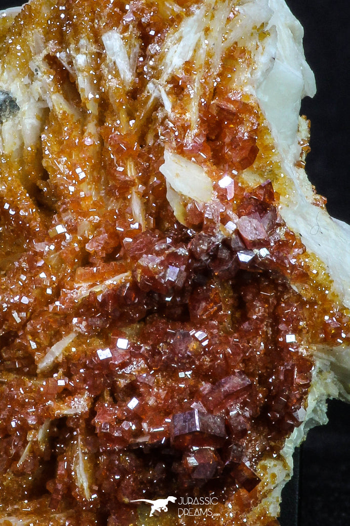 20338 - Beautiful Red Vanadinite Crystals on Barite Mibladen Mining District, Morocco