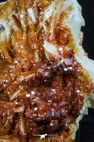20338 - Beautiful Red Vanadinite Crystals on Barite Mibladen Mining District, Morocco