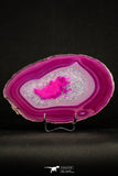 20384 -  Extremely Beautiful 6.34 Inch Brazilian Agate Slice (Chalcedony Geode Section)
