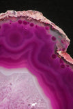 20386 -  Extremely Beautiful 4.67 Inch Brazilian Agate Slice (Chalcedony Geode Section)