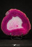 20386 -  Extremely Beautiful 4.67 Inch Brazilian Agate Slice (Chalcedony Geode Section)