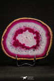 20387 -  Extremely Beautiful 5.06 Inch Brazilian Agate Slice (Chalcedony Geode Section)