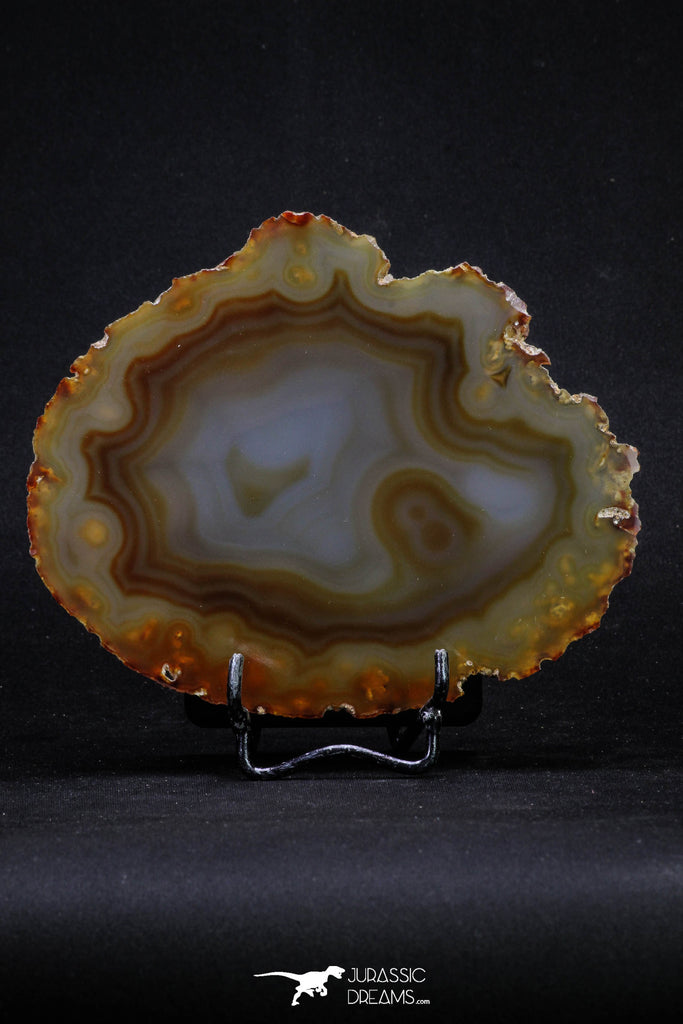 20390 -  Extremely Beautiful 5.31 Inch Brazilian Agate Slice (Chalcedony Geode Section)