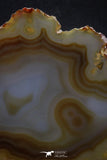 20390 -  Extremely Beautiful 5.31 Inch Brazilian Agate Slice (Chalcedony Geode Section)