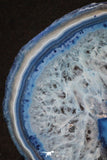 20393 -  Extremely Beautiful 4.79 Inch Brazilian Agate Slice (Chalcedony Geode Section)