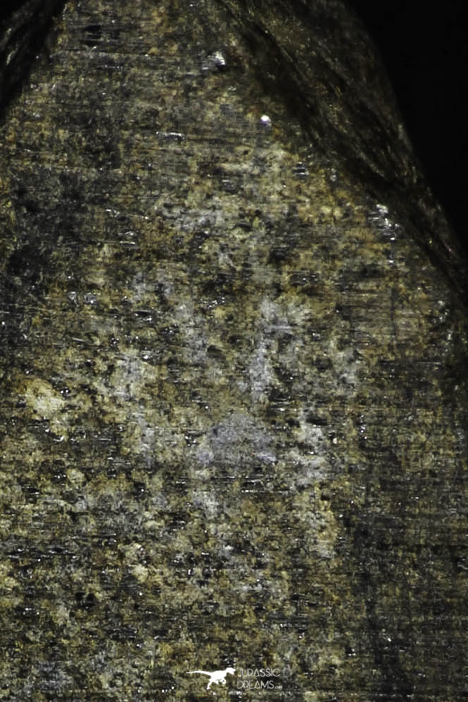 21467 - Unclassified Chondrite Meteorite 15.2g Polished Section