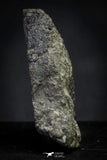 21468 - Top Rare NWA Carbonaceous Chondrite CM2 2.7g Polished Section