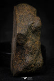 21478 - NWA Unclassified Chondrite Meteorite 26.1g Polished Section