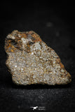 21487 - NWA Unclassified Chondrite Meteorite 9.1g Polished Section