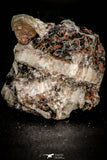 06857 - Beautiful Malachite Crystals on Quartz Matrix