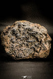06858 - Botryoidal Goethite Cluster - Taouz, Morocco