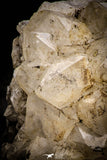 06859 - Top Beautiful 4.49 Inch Quartz Crystals - Imilchil (Morocco)