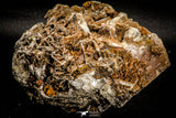 06860 - Top Beautiful 3.64 Inch Barite Crystals