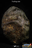 21493 - NWA Unclassified Chondrite Meteorite 77.1g ORIENTED