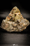 06860 - Top Beautiful 3.64 Inch Barite Crystals
