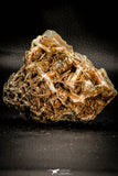 06860 - Top Beautiful 3.64 Inch Barite Crystals