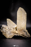 06828 - Top Huge 4.42 Inch White Barite Crystals - South Morocco