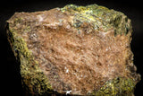 06829 - Beautiful Chalcopyrite Crystals + Barite Crystals in Matrix - South Morocco