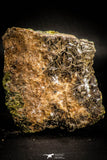 06829 - Beautiful Chalcopyrite Crystals + Barite Crystals in Matrix - South Morocco