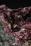 20379 - Nice Pink Erythrite Crystals on Matrix - Bou Azzer Mine (South Morocco)