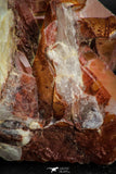 08253 - Top Beautiful 3.52 Inch Natural Red Iron-Oxide Coated Quartz Crystals Cluster