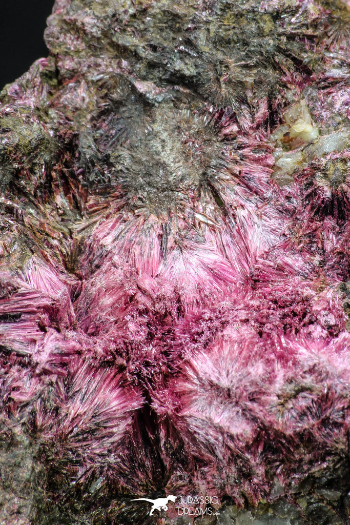 20380 - Nice Pink Erythrite Crystals on Matrix - Bou Azzer Mine (South Morocco)
