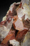 08253 - Top Beautiful 3.52 Inch Natural Red Iron-Oxide Coated Quartz Crystals Cluster