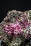20380 - Nice Pink Erythrite Crystals on Matrix - Bou Azzer Mine (South Morocco)