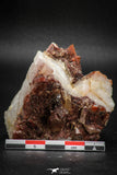 08257 - Top Beautiful 2.40 Inch Natural Red Iron-Oxide Coated Quartz Crystals Cluster