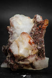 08257 - Top Beautiful 2.40 Inch Natural Red Iron-Oxide Coated Quartz Crystals Cluster