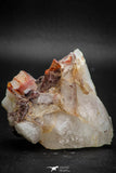 08257 - Top Beautiful 2.40 Inch Natural Red Iron-Oxide Coated Quartz Crystals Cluster