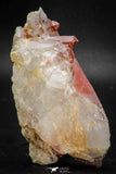 08264 - Top Beautiful 3.54 Inch Natural Red Iron-Oxide Coated Quartz Crystals Cluster