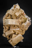 08266 -  Top Beautiful Orthoclase (Feldspar) Crystals from High Atlas Mountains, Morocco