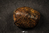 21639 -  NWA L-H Type Unclassified Ordinary Chondrite Meteorites Lot 200g