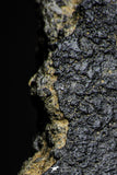 21537 - Top Rare Unclassified NWA Howardite Achondrite Meteorite 165.12g with Fusion Crust