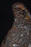 20456 - Taza (NWA 859) Iron Ungrouped Plessitic Octahedrite Meteorite 5.5g ORIENTED