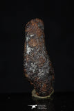 20456 - Taza (NWA 859) Iron Ungrouped Plessitic Octahedrite Meteorite 5.5g ORIENTED