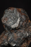 20458 - Taza (NWA 859) Iron Ungrouped Plessitic Octahedrite Meteorite 5.6g