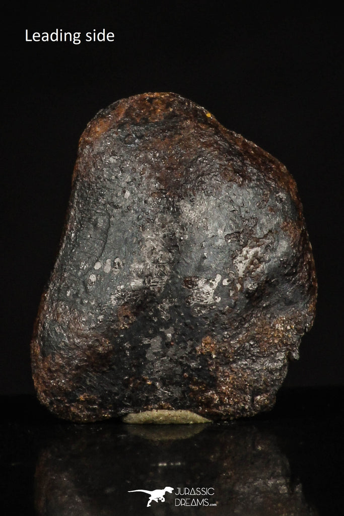 20461 - Taza (NWA 859) Iron Ungrouped Plessitic Octahedrite Meteorite 2.4g ORIENTED