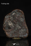20461 - Taza (NWA 859) Iron Ungrouped Plessitic Octahedrite Meteorite 2.4g ORIENTED