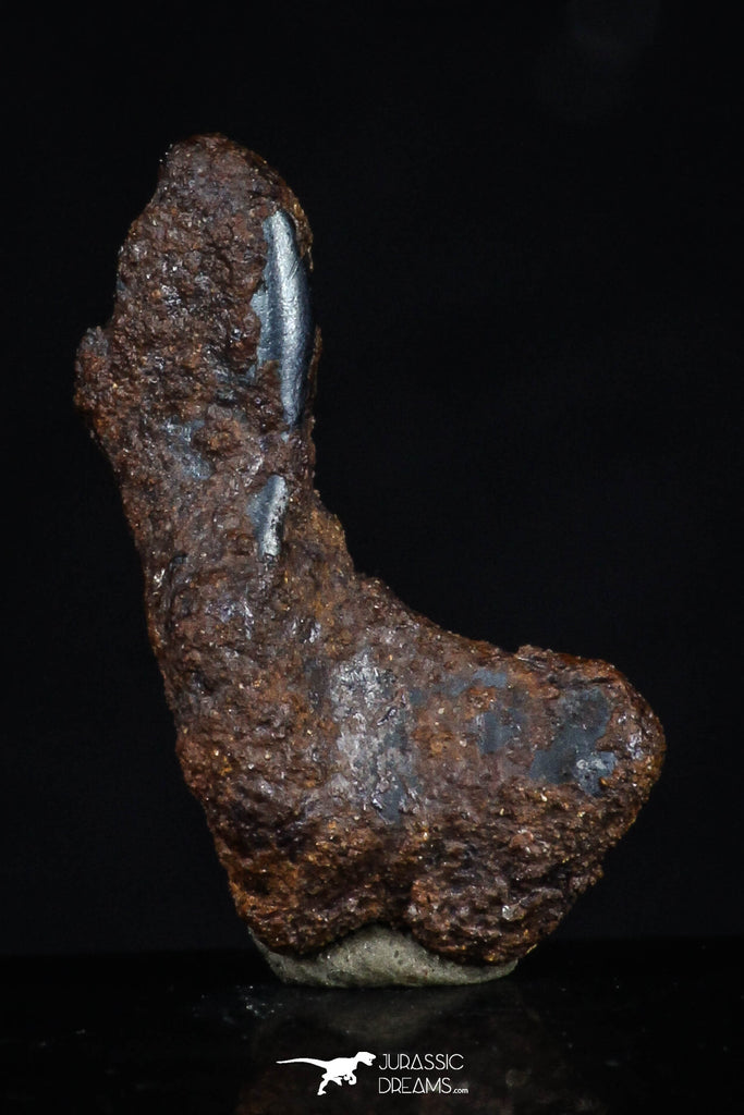 20463 - Taza (NWA 859) Iron Ungrouped Plessitic Octahedrite Meteorite 2.4g