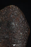 20468 - Taza (NWA 859) Iron Ungrouped Plessitic Octahedrite Meteorite 1.9g ORIENTED