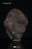 20468 - Taza (NWA 859) Iron Ungrouped Plessitic Octahedrite Meteorite 1.9g ORIENTED