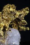 20469 - Top Beautiful Native Gold In Its Hydrothermal Quartz Matrix New Location Aouserd Occidental Sahara